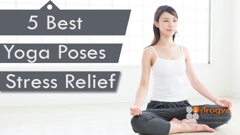 Yoga for Beginners: 100 Yoga Poses to Calm the Mind, Relieve