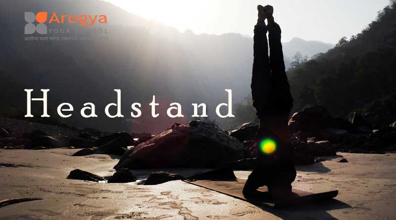 15 Health Benefits Of Headstand Health Benefits Of Sirsasana