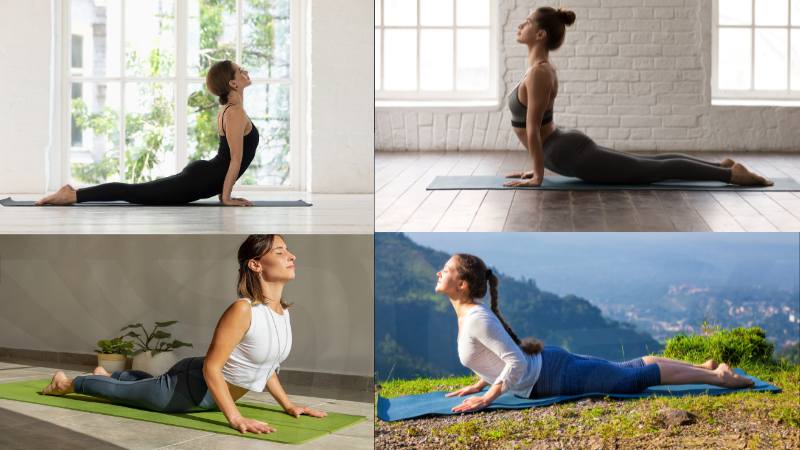 bhujangasana images step by step