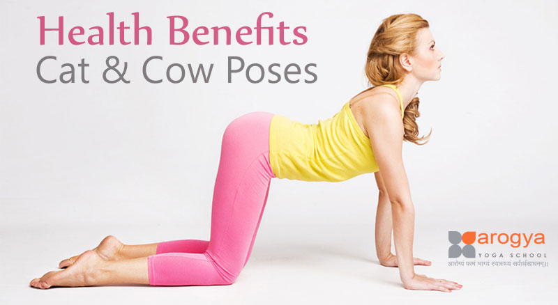 Benefits of Cow Pose ( Bitilasana ) - World Peace Yoga School