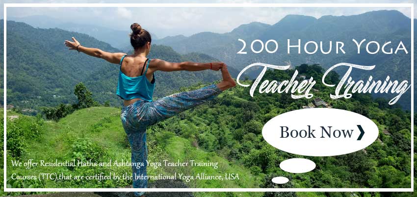 200 Hour Yoga Teacher Training in India