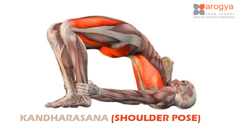 KANDHARASANA (SHOULDER POSE)