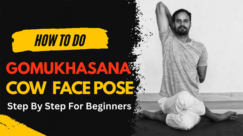 Cow Face Pose (Gomukhasana) Instructions & Photos • Yoga Basics