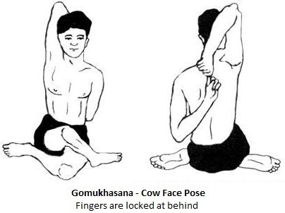 THE COW-FACE POSE