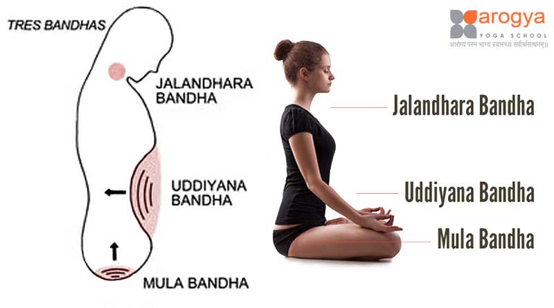 Bandhas in Yoga are energetic locks