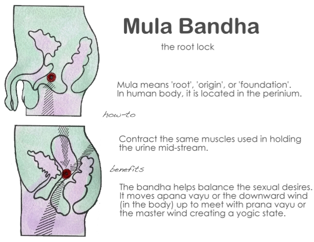 MULA BANDHA