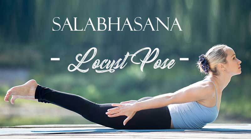 The Yoga Institute Goa - ~~~ Shalabhasana- The Locust Pose ~~~ 👉 Yogendra  Shalabhasana; the locust pose is a cultural asanas for backward bending of  the spine. The final position of this