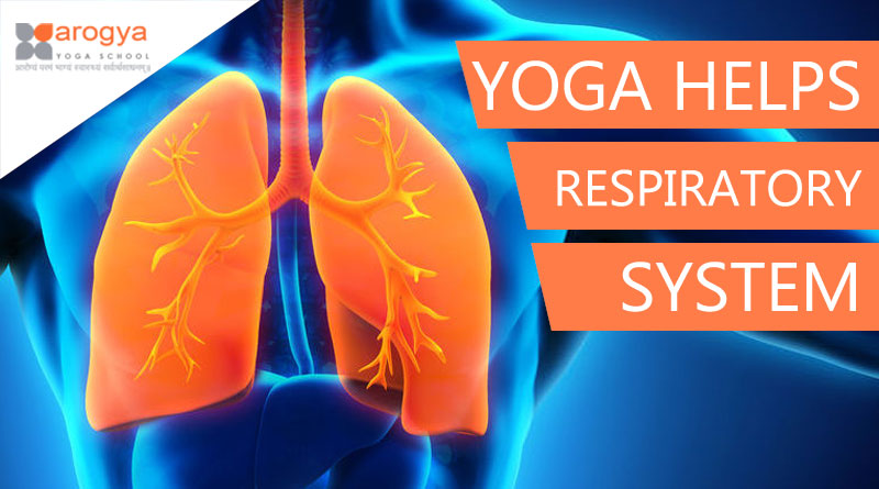 YOGA HELPS THE RESPIRATORY SYSTEM