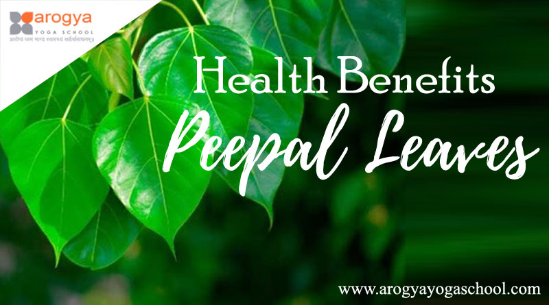 Health Benefits of Peepal Leaves