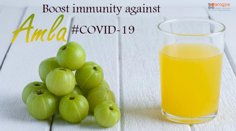 Amla Boost immunity against COVID-19