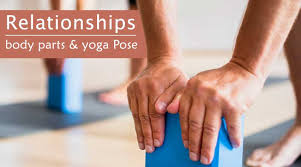 relationships between body parts and yoga postures