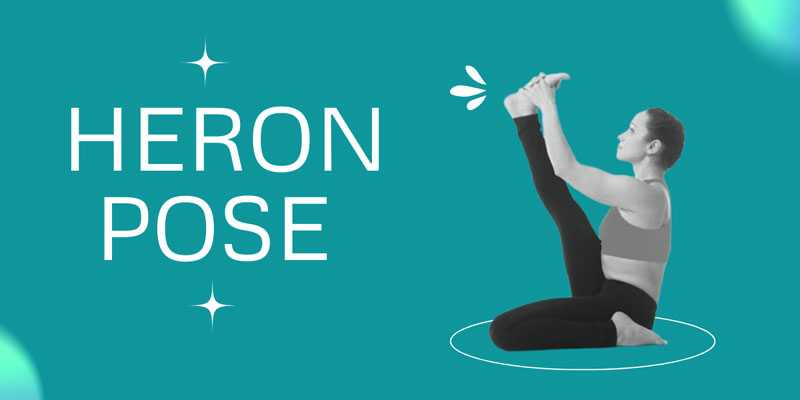 Heron Pose - Health Benefits of Heron Pose Krounchasana
