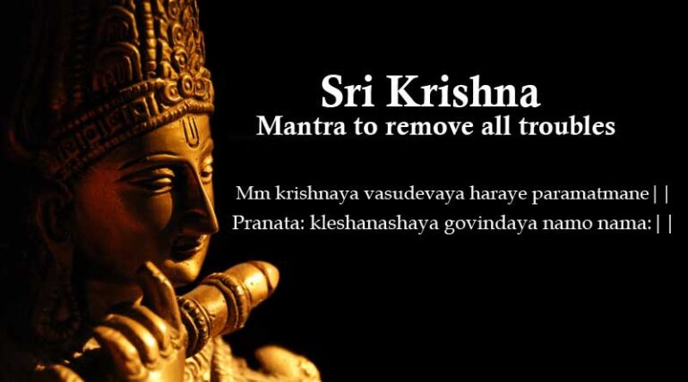 Krishnaya Vasudevaya Haraye Paramatmane Shloka Meaning