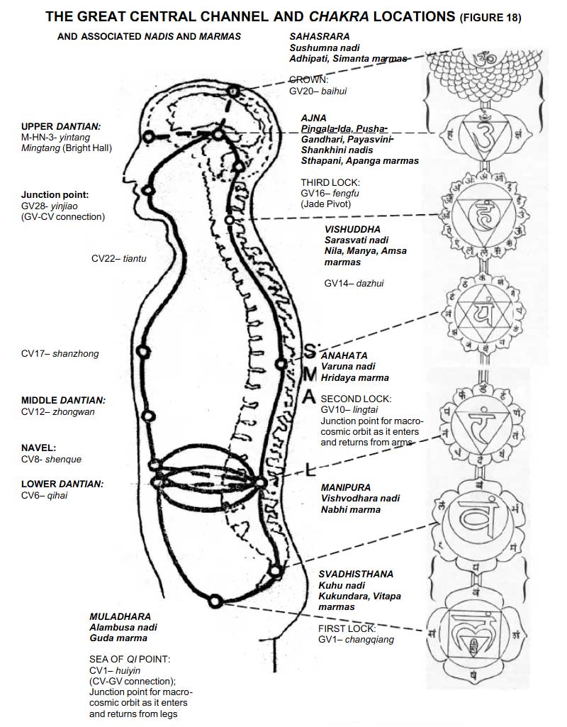 marma points in the body
