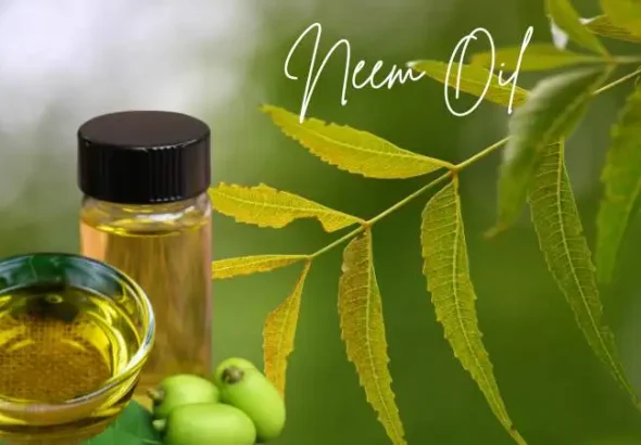 Neem Oil
