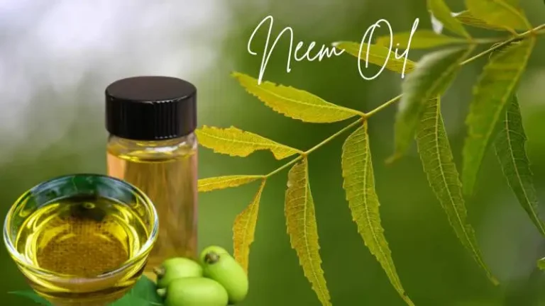 Neem Oil