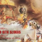Bhagavad Gita Slokas