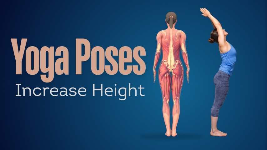 Visual Reference: 10 Best Yoga Poses To Increase Height And How Yoga